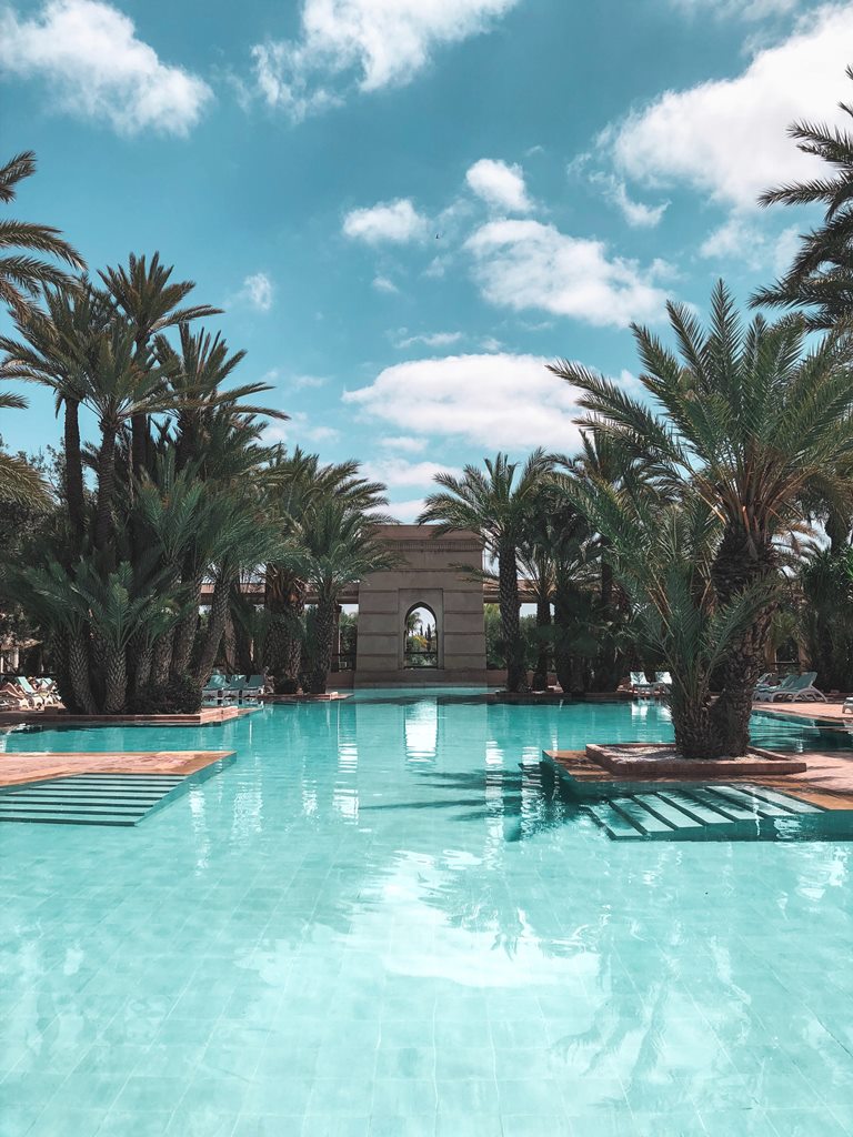 pool with trees