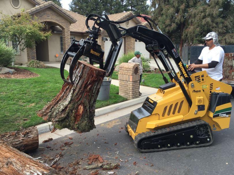 tree removal